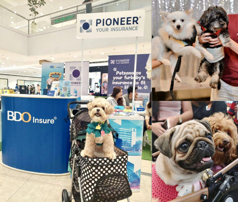 BDO Insure talks Pet Insurance during Super Pets Caravan 2023