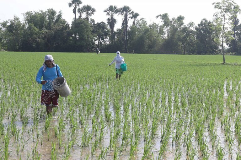 PH FARMERS GETTING YOUNGER  – DA