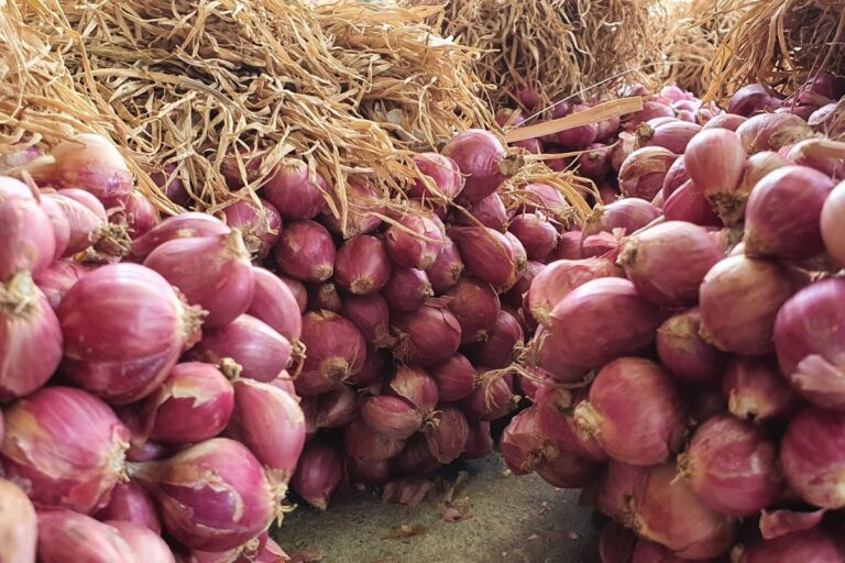 Agri chief backs charges vs. selfish onion traders